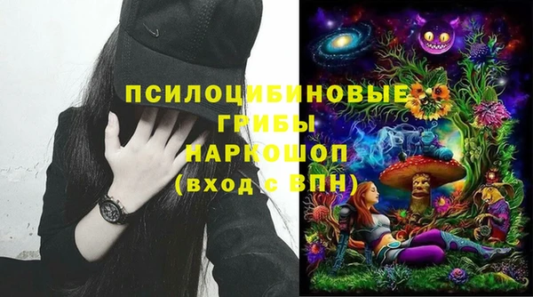 сатива Абдулино