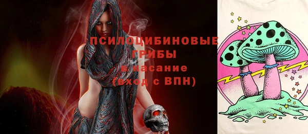 ПСИЛОЦИБИНОВЫЕ ГРИБЫ Абинск