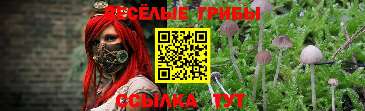 Псилоцибиновые грибы прущие грибы Советск