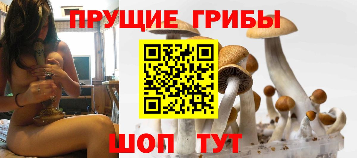 Галлюциногенные грибы Psilocybine cubensis  Вход с VPN  наркотики  Советск 
